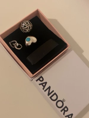 Pandora berlocker - Säljer tre helt nya berlocker från Pandora då de inte blev som jag hade tänkt mig. Alla i sterlingsilver 🤍 kan säljas separat 