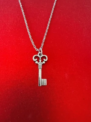 Nyckel silverhalsband  - Halsband skapat av mig och dottern.  Halsband som inte är i äkta silver/guld. Kedja är oftast 50cm men kan ibland komma i 45cm. Kedja är rostfritt stål, berlock oftast i zinklegering men kan även det i vissa fall vara rostfritt stål. Be gärna om mått på berlock om detta är viktigt då bilderna är missvisande när det gäller hur stora dom är! 🌹❤️  Allt är nytt även om de kan stå ”mycket bra skick” , detta mest för att Vinted inte ska fundera på varför jag bara har nya saker .  Bud accepteras inte 🥰🌹