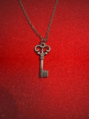 Halsband mindre nyckel - Halsband skapat av mig och dottern.  Halsband som inte är i äkta silver/guld. Kedja är oftast 50cm men kan ibland komma i 45cm. Kedja är rostfritt stål, berlock oftast i zinklegering men kan även det i vissa fall vara rostfritt stål. Be gärna om mått på berlock om detta är viktigt då bilderna är missvisande när det gäller hur stora dom är! 🌹❤️  Allt är nytt även om de kan stå ”mycket bra skick” , detta mest för att Vinted inte ska fundera på varför jag bara har nya saker .  Bud accepteras inte 🥰🌹