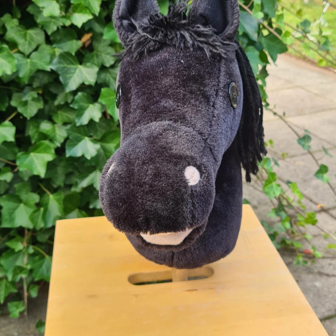 Panduro käpphäst  - 2