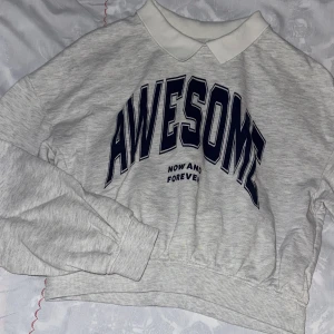 Grå sweatshirt med krage från H&M - Säljer en ljusgrå sweatshirt från H&M med vit pikékrage och trycket 'AWESOME' i mörkblått framtill. Tröjan har långärmade ärmar, ribbade muddar och är tillverkad i mjuk bomull och polyester. Perfekt för dig som gillar en chill och sportig stil.