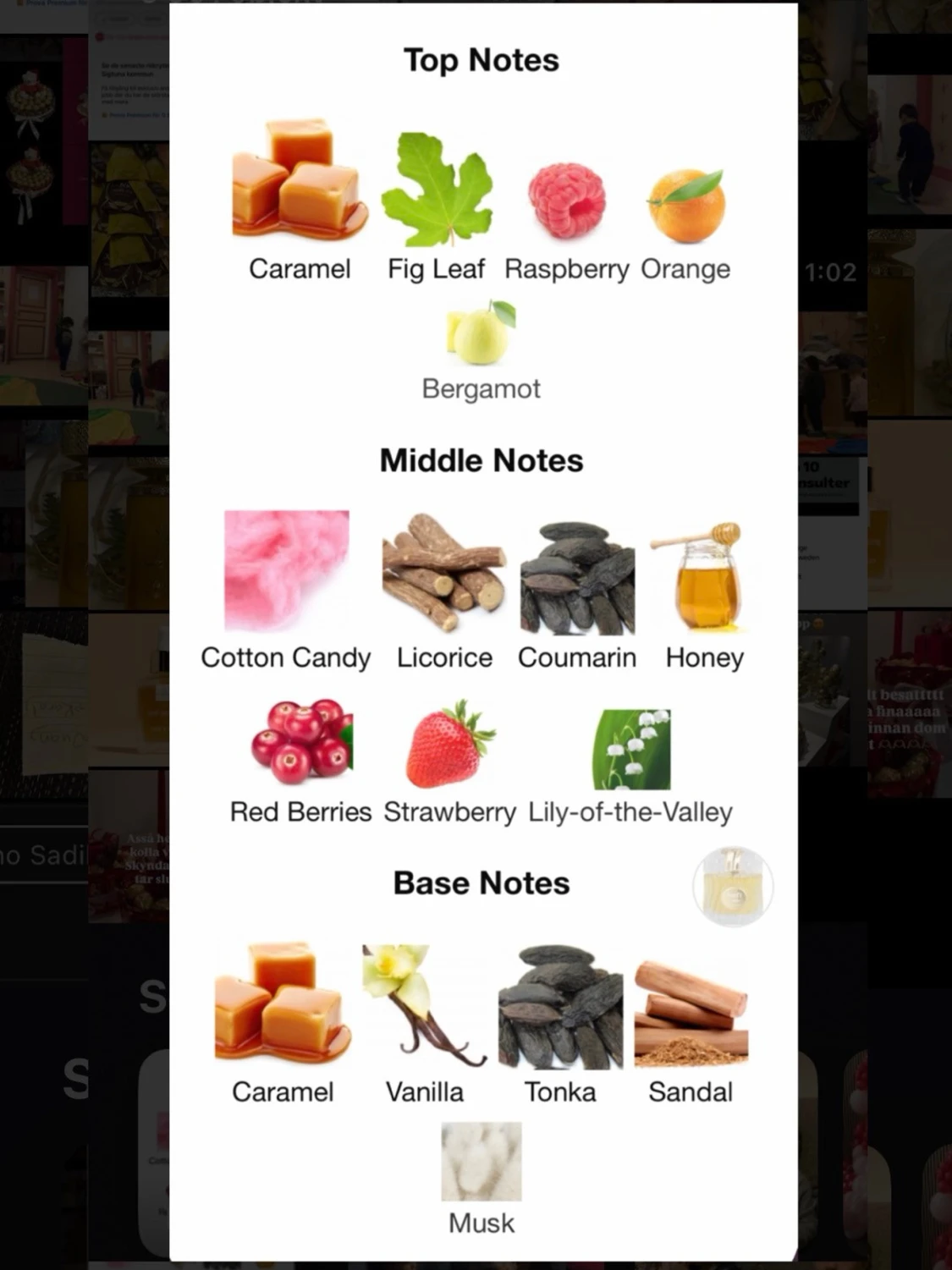 Kefi Latte 5ml / 3ml - 2