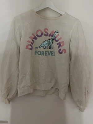 Beige sweatshirt med dinosaurietryck - Cool beige sweatshirt med texten 'DINOSAURS FOREVER' i lila och grönt samt en glittrig dinosaurie framtill. Tröjan har rund halsringning, långa ärmar med resår vid ärmslut och nederkant. Perfekt för dig som gillar dinosaurier och vill ha en unik look. 12-14Y
