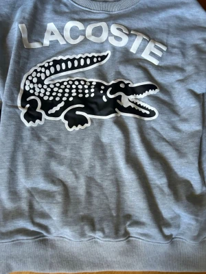 Lacoste crew neck  - Snygg grå sweatshirt från Lacoste med stort tryck av krokodil och logga på bröstet. Tröjan har rund halsringning, långa ärmar och ribbade muddar. Perfekt för en avslappnad och trendig stil.