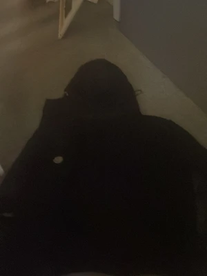 Svart hoodie från Moncler - En svart Moncler jacka bara sick. Har inte använt  så många gånger 