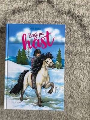 Bäst på häst av Sofia Wallin - En färgglad bok med hårdpärm, illustrerad med en tjej som rider en häst i vinterlandskap. Omslaget har blå, vit och rosa färg med tydlig titeltext. Perfekt för dig som gillar hästar och äventyr.