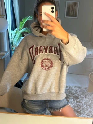 Grå Harvard hoodie med tryck - Säljer en oversized grå hoodie med stor vinröd HARVARD-text och emblem på bröstet. Hoodien har luva och ribbade muddar vid ärmar och nederkant. Perfekt för en chill och avslappnad stil.