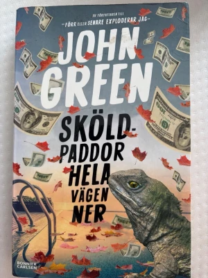 Sköldpaddor hela vägen ner - Sköldpaddor hela vägen ner av John Green