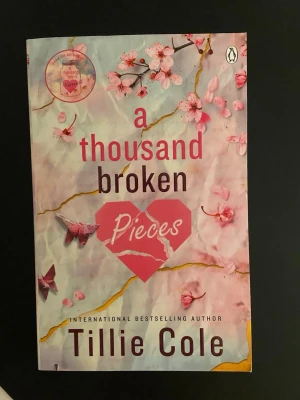 A Thousand Broken Pieces av Tillie Cole - En roman av Tillie Cole. 