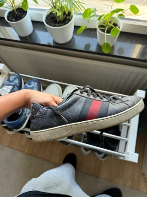 Gucci Ace - Säljer ett par svarta Gucci Ace skor storlek 6 (40) hör av er vid funderingar!! 