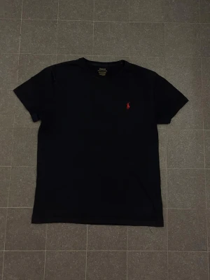 Ralph Lauren T-shirt - Hej, säljer en T-shirt från Ralph Lauren. Priset kan diskuteras. Hör av dig vid minsta lilla fundering.
