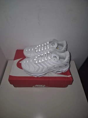 Nike TNs - Nike Air Max Plus (TNs). Helt nya köpte helt fel storlek. Oanvändna och i helt ny skick. Med låda Pris kan diskuteras.