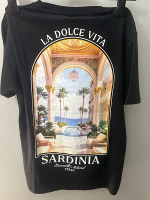 Svart Sardinia t-shirt med tryck - Svart t-shirt med stort färgglatt tryck på ryggen som visar en lyxig italiensk miljö med palmer och havsutsikt. Framtill finns en liten vit logga med texten 'Sardinia Emerald Island Italy'. Klassisk passform och rund hals, perfekt för dig som gillar stilrena men ändå unika plagg.