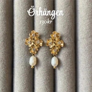 Guldiga örhängen med pärlor - Par 