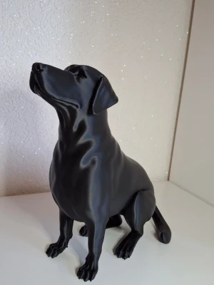 Bordslampa labrador  - Säljer en stilren svart hundstaty i plast som föreställer en sittande Labrador. Statyn har slät yta och moderna linjer, perfekt som dekoration i hemmet för dig som gillar hundar och vill ha något unikt på hyllan.