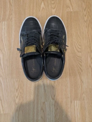 Giuseppe Zanotti - Inget bud skadar!
