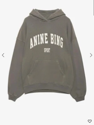 Anine Bing hoodie  - Super snygg nästan aldrig använd!🩷🩷väldigt oversized fit 