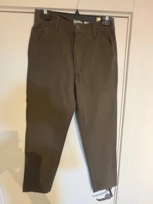 Bruna cargobyxor från Denim Day - Säljer ett par bruna cargobyxor från Denim Day med raka ben och dragsko vid benslut. Byxorna har flera praktiska fickor, både fram och bak, samt en extra ficka på sidan. Tillverkade i slitstarkt bomullsmaterial och perfekta för en avslappnad streetstil.