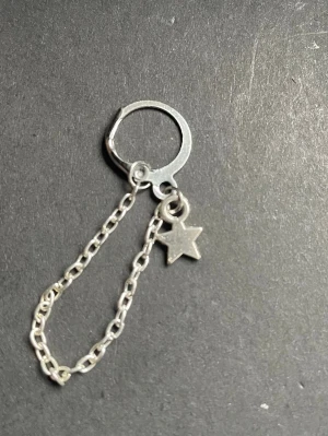 By prisförslag- 1 st Silverfärgat örhänge med stjärnhänge - Ett stilrent örhänge i silverfärg med en tunn kedja och en liten stjärnberlock. Örhänget har en enkel ring som fäste och kedjan ger en cool detalj. Perfekt för dig som gillar minimalistiska smycken med en twist.