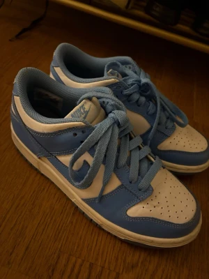 Nike dunks - Använda 