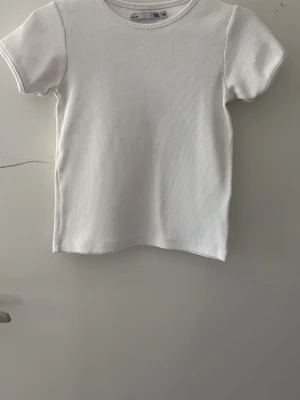 Vit ribbad t-shirt i bomull - En stilren vit ribbad t-shirt med korta ärmar och rund hals. T-shirten är gjord i mjuk bomull och har en klassisk passform som passar till det mesta. Perfekt basplagg för garderoben.