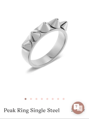 Silvrig Edblad ring  - Säljer även denna Edblad ring eftersom jag har slutat andvönda silver smycken , pris kan  diskuteras !