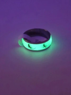 Glow in the dark ring med ödlor i rostfritt stål  - Cool ring som lyser i mörkret med ett grönt sken och har svarta ödlemotiv runt om. Ringen är i metall och har en slät, rundad form. Perfekt för dig som gillar unika accessoarer och vill sticka ut lite extra. Storlek: US Stl 8 (Ca 18.1 cm innerdiameter) 