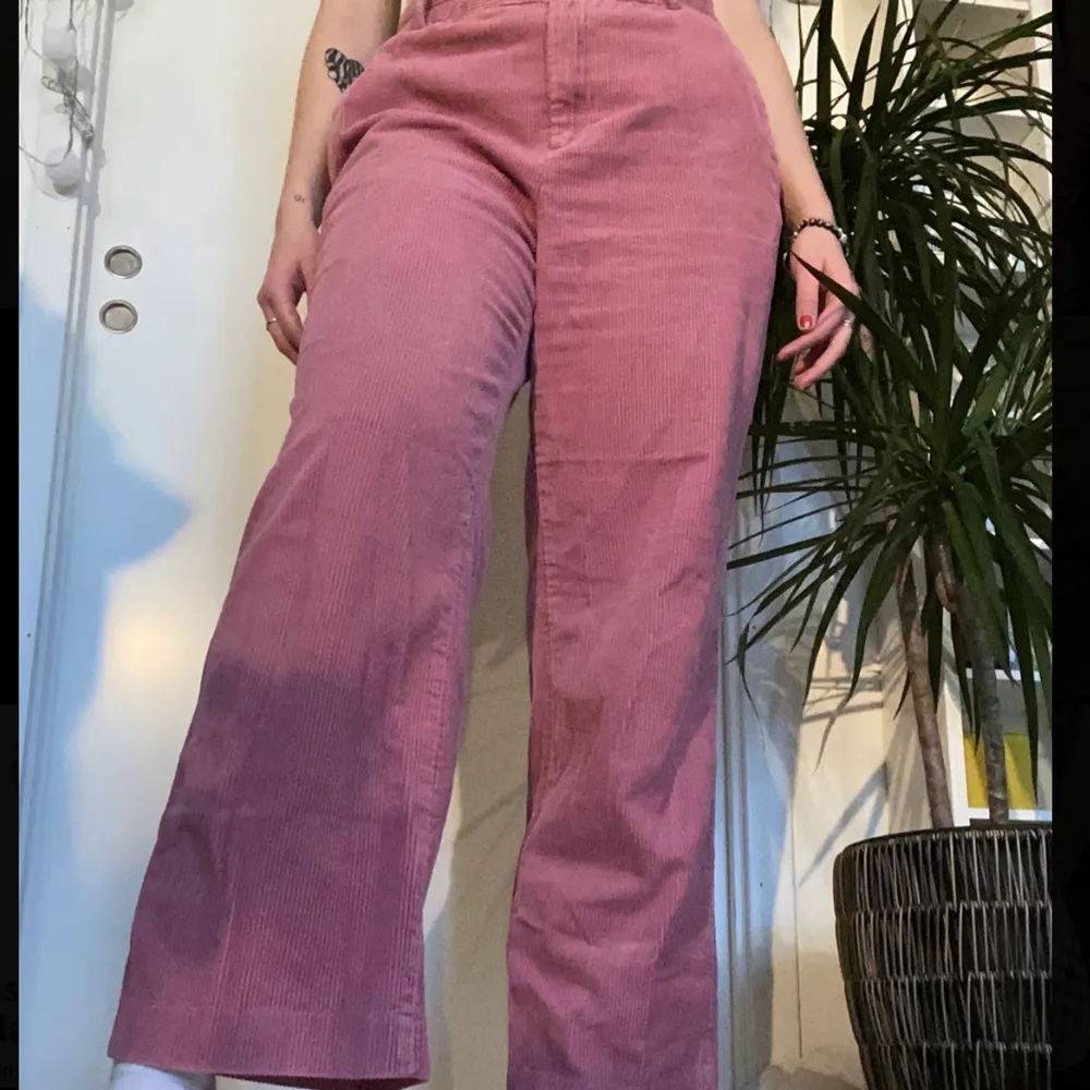 Söker en ny ägare till dessa coola rosa byxor!! De är använda men i väldigt gott skick och dessutom är de supeeerbekväma!🤪 frakt tillkommer: 66kr men kan även mötas upp i Malmö eller Lund;). Jeans & Byxor.