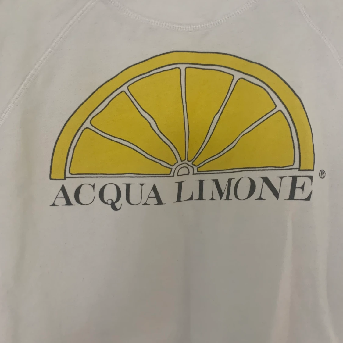 Aqua Limone Sweatshirt - 91