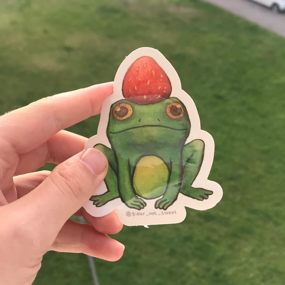 Jordgubbsgroda klistermärke - 90