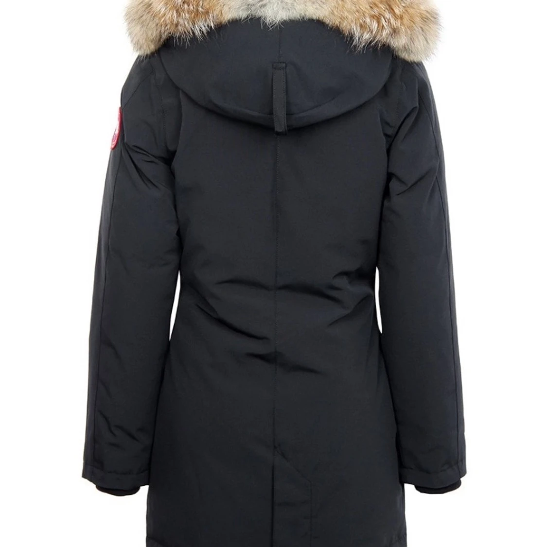 Canada goose Jacka Victoria  - 91