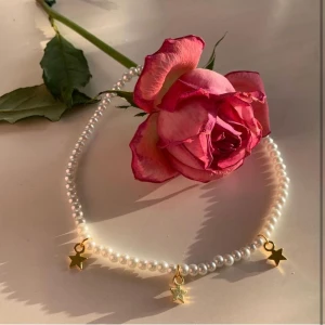 Stjärn halsband - Egengjort