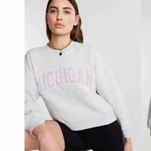 Grå Sweatshirt - En grå sweatshirt i fint skick, slutsåld på hemsidan, den är i storlek s och ser precis ut som på bilden❤️