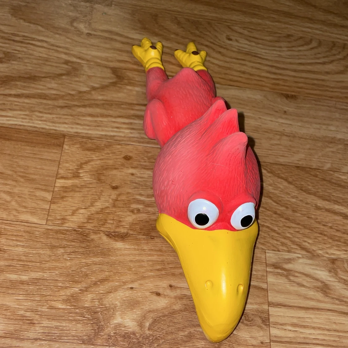 Hund och katt leksak