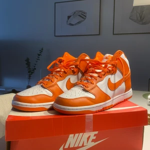 Nike dunk - Nike dunk i storlek 45
