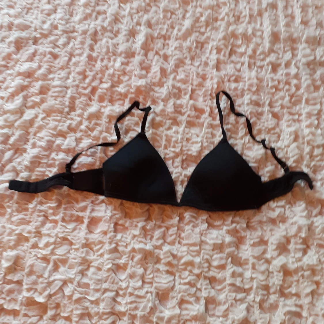 Bygellösa behåar, svart och grå - 91