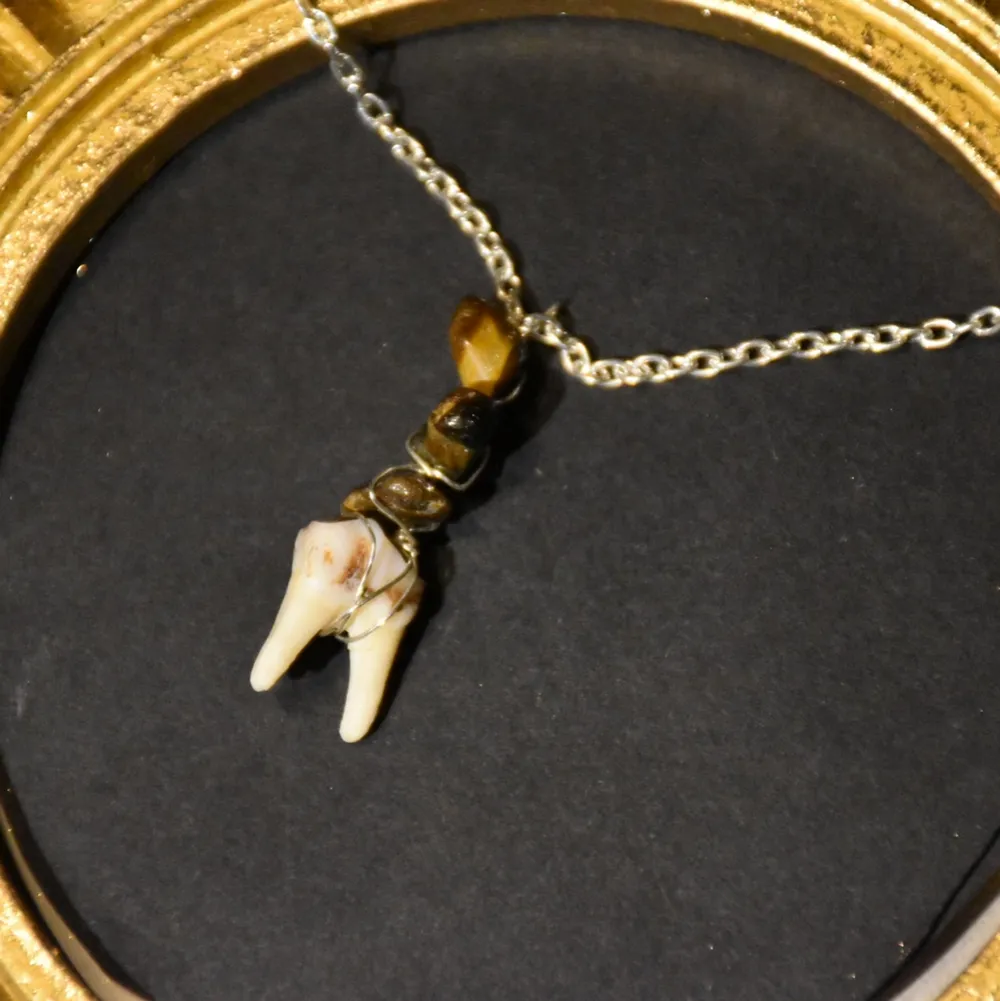 Halsband med tand från rådjur och tigeröga samt silvrig kedja. . Accessoarer.