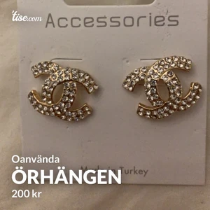 Örhängen  - Nya örhängen 