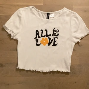 Topp  - en jätte söt topp från H&M som nu blivit förliten💕 fortfarande i jätte fint skick🤩 (köparen står för frakten)