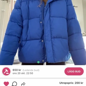 Vinterjacka - Vinterjacka i bra skick, skriv privat info! Bud 400