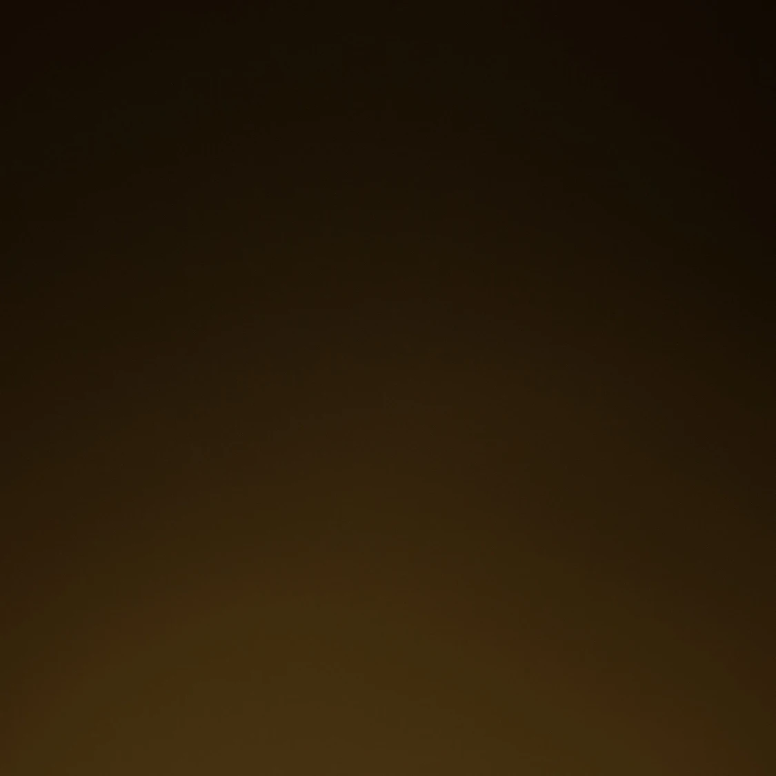 Hunterstövlar strl 39 - 91