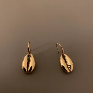 Örhängen snäckor - Örhängen som ser ut som snäckor. Egengjorda och aldrig använda. Köpare står för frakt.