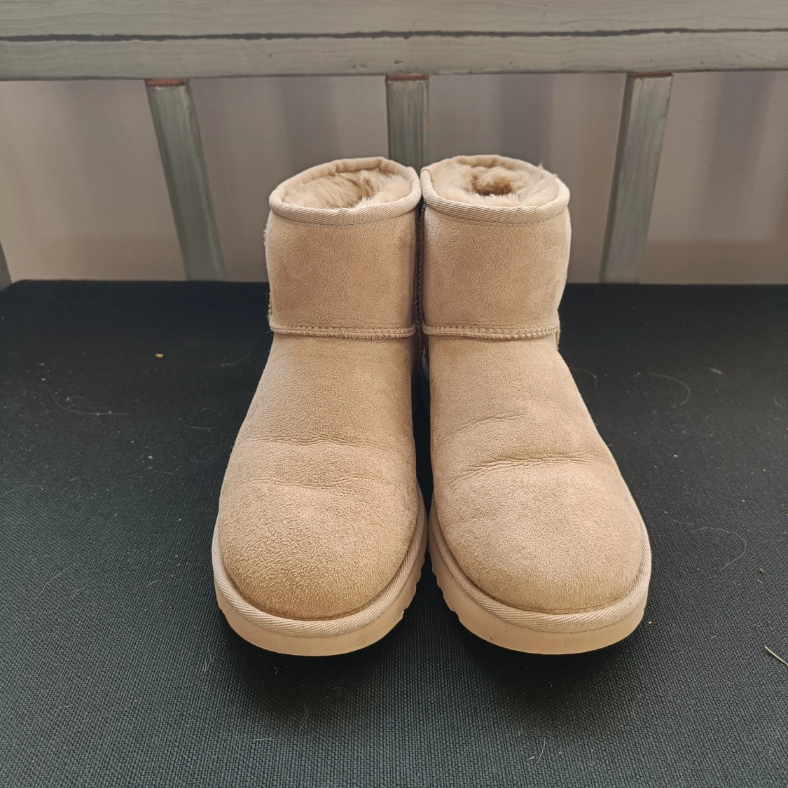 UGG's Mustard Seed - 90