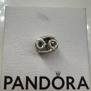 Pandora berlock - Jättefin berlock som man kan sätta på smycken💕pris kan diskuteras vid snabb affär💕