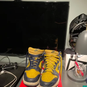 Nike dunk SB Michigan - -Skick 6/10 -Storlek 45 