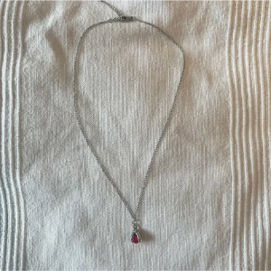 Drak klo Röd - Silver halsband❤️Justerbar och rostfri stål 