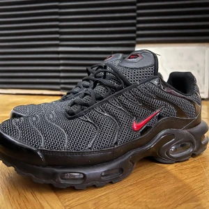 Nike tn skor - Nike tn skor i storlek 45