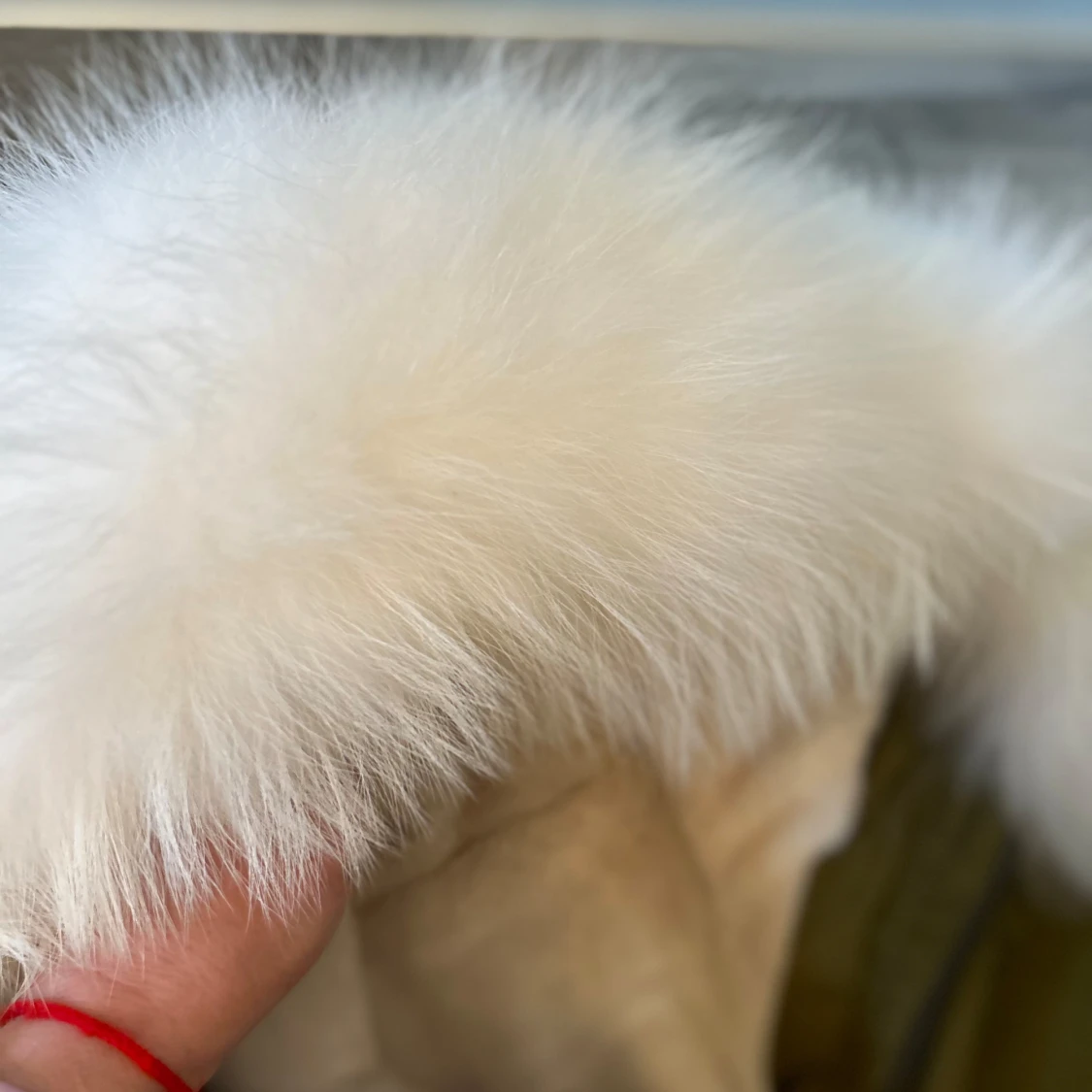 Jackan🌸👌🏼 - 92