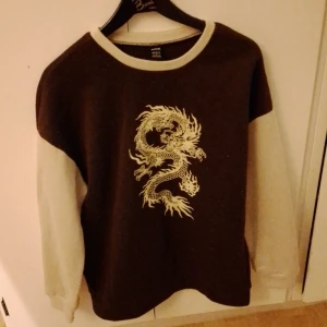 Hoodie Med Drake Från Shein - Brun och beige hoodie från shein i storlek s.  Katt finns i hemmet