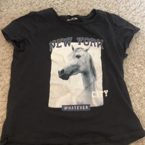 Svart t-shirt med hästmotiv från KappAhl - Säljer en grå t-shirt från KappAhl med ett coolt tryck av en häst och texten 'New York City' och 'Whatever'. T-shirten är i storlek 170 och är perfekt för en avslappnad stil. Den är kortärmad och gjord av bomull, vilket gör den bekväm att bära. Perfekt för vardagsbruk eller en chill dag ute.